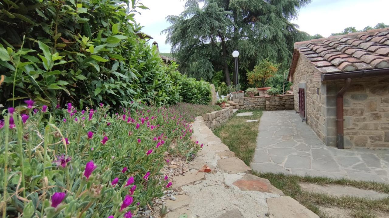 Agriturismo I Cedri Cortona Eksteriør bilde