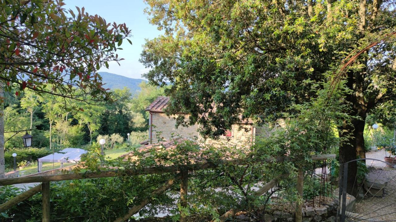 Agriturismo I Cedri Cortona Eksteriør bilde